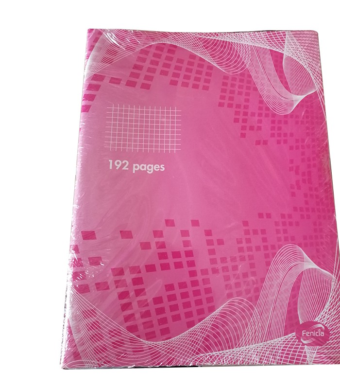 Cahier 17x22 seyès 384 pages 60g piqûre R.7007  