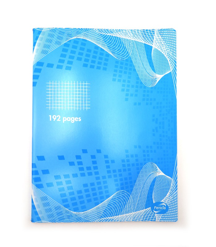 Cahier 24x32 5x5 192 pages 70g piqûre R.EN18950