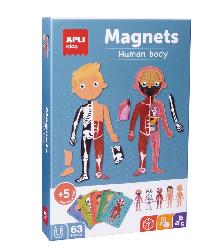 Magnets corps humain R.18531