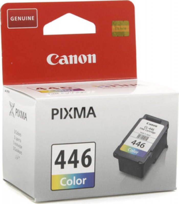 Cartouche Canon CL446 Couleur MG2440/2540S (180 pages)