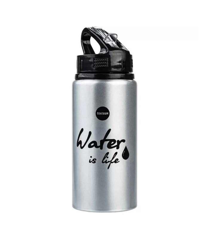 Gourde aluminium 500 ml water is life R.80934