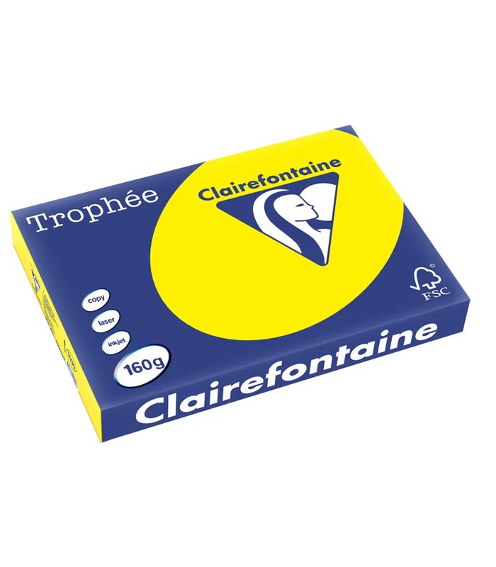 Papier copieur A3 160g jaune soleil paquet de 250 feuilles R.1039PC