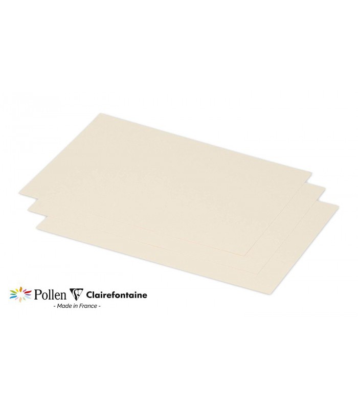 Carte 158x222 ivoire paquet de 25 120g R.1617C  XXX