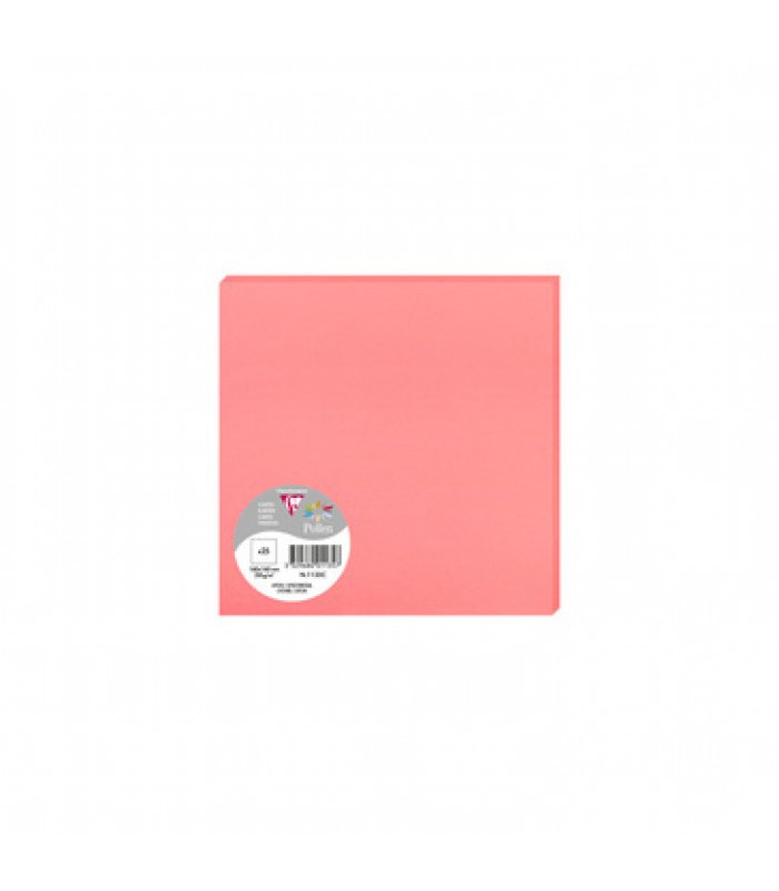 Carte 160x160 litchi paquet de 25  210g R.1135C