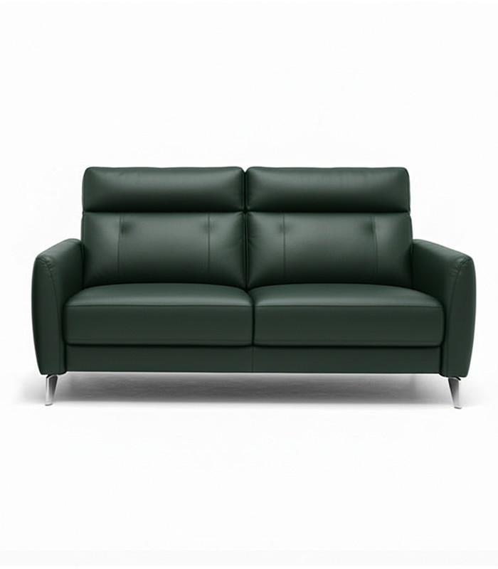 Canapé BALTIMORE 2 places cuir vert foncé  R.S113