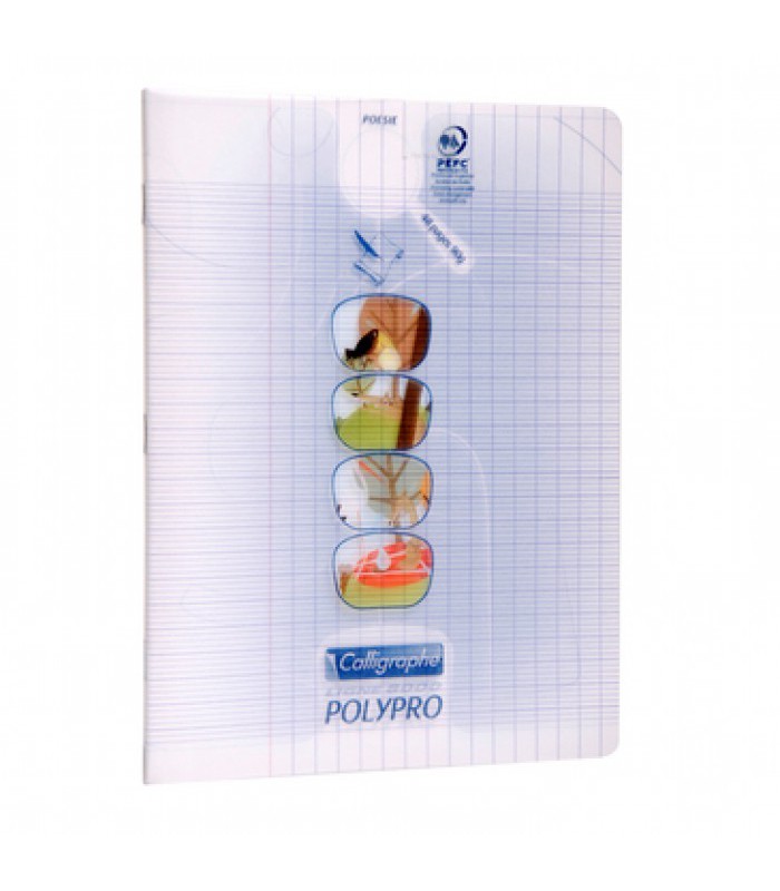 Cahier 17x22 travaux pratiques poésies/chants 24P.S.+24P.U. PP 90g