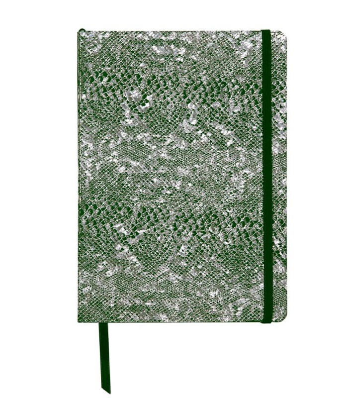 Carnet 14.8x21cm celeste lazer vert/argent ligné cuir R.400122C  XXX