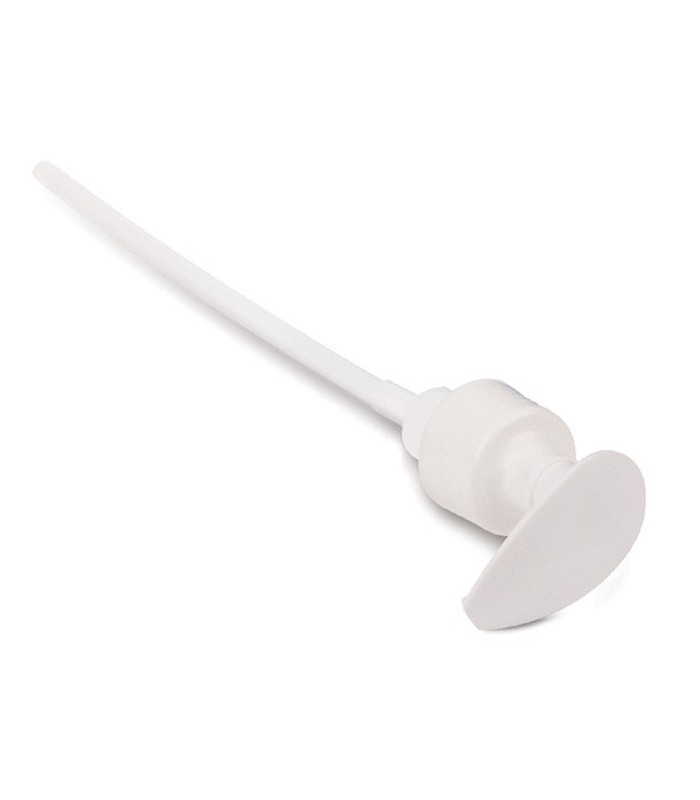 Pompe dosage peinture R.195PD