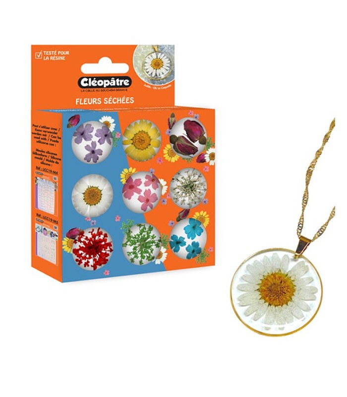 Fleurs séchées pour la résine R. LCC30- ACC2