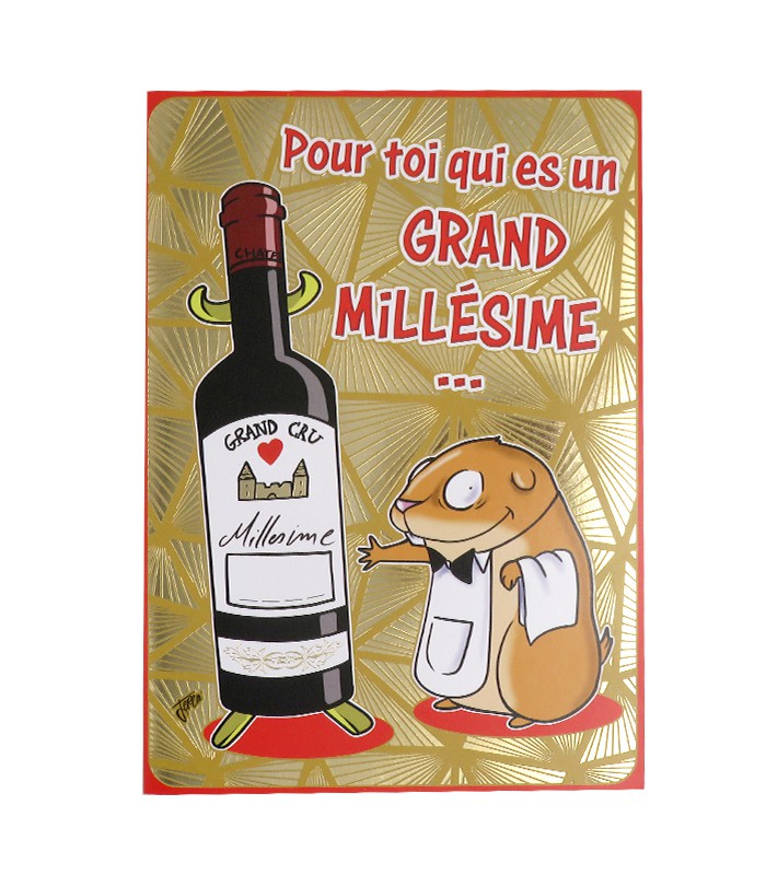 Carte 14x20cm "l'humour en folie" assortis 