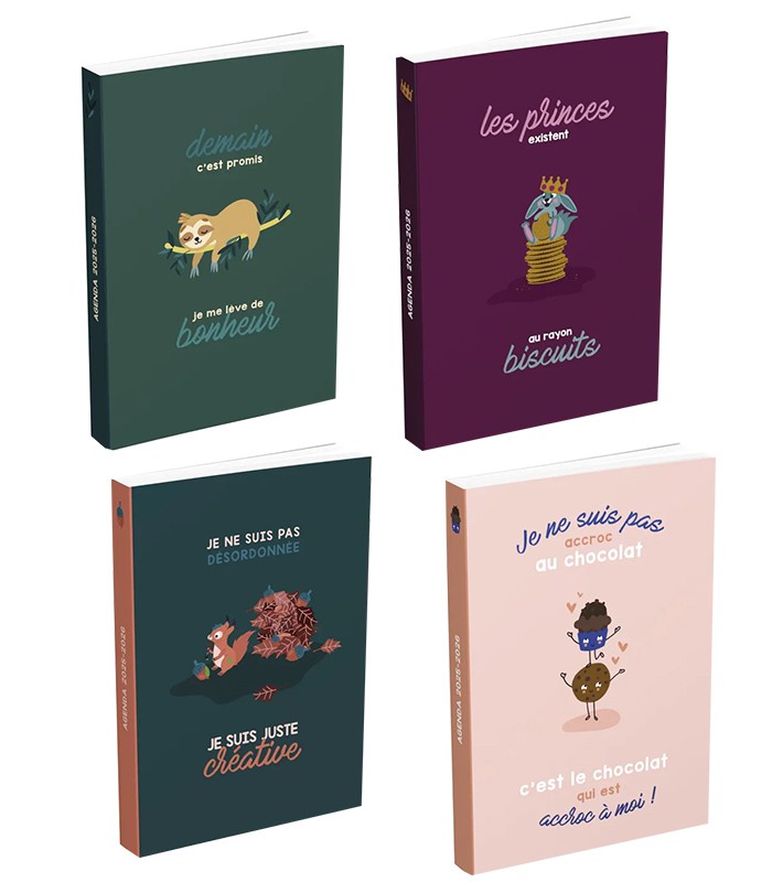 Agenda scolaire 12x17cm 320 pages Icone R.100902788
