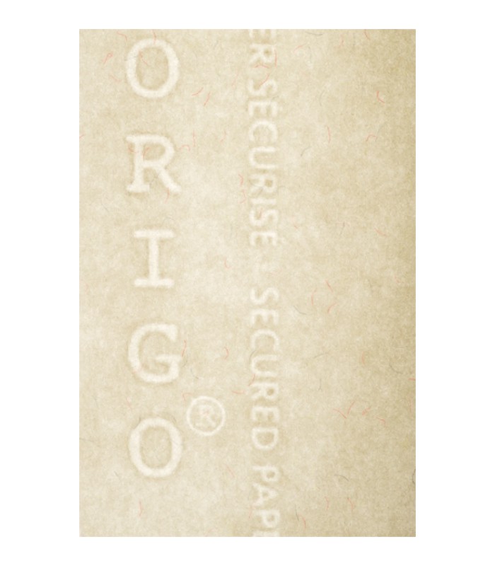Papier sécurisé A4 90g Naturel Boite de 100 R.PF023   Z4650