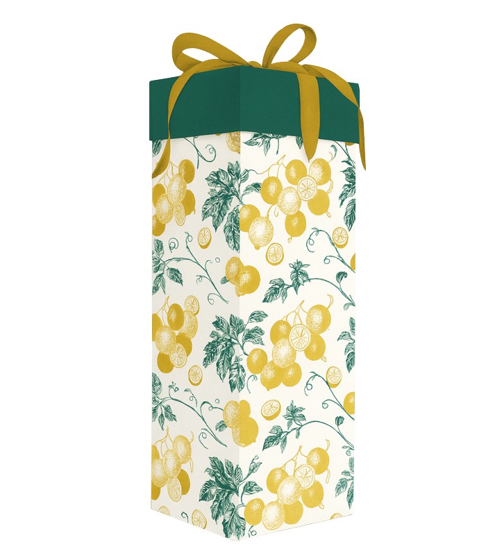 Boîte cadeau bouteille R.23POPB