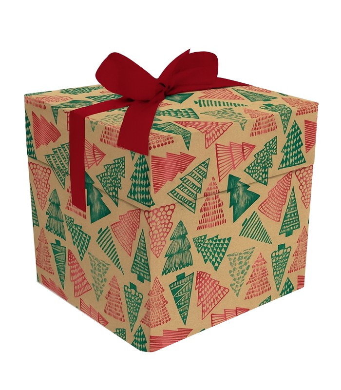 Boîte cadeau 15x15x15xm Noël carton R.9330POPM