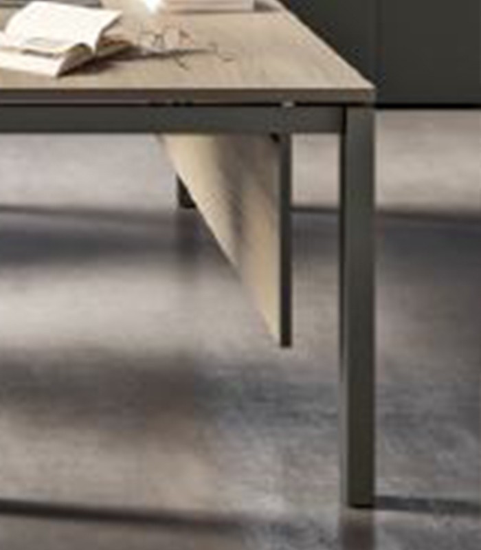 Voile de fond X5 L170 cm eucalyptus  p/QF147