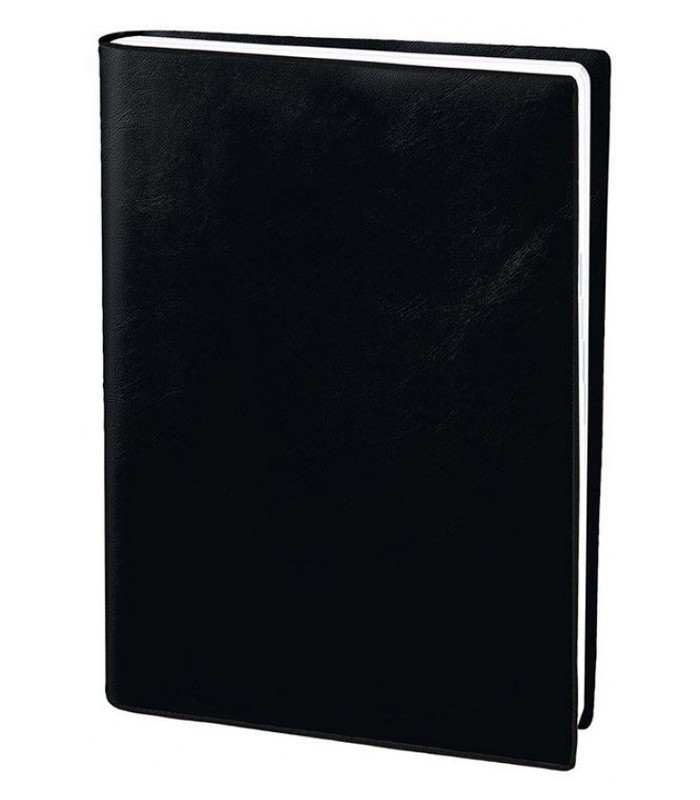 Agenda olympe  16x24cm semaine sur 2 pages force 8 R.302001Q