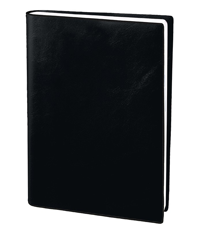 Agenda mercure 21x27cm semaine sur 2 pages force 8 R.303001Q