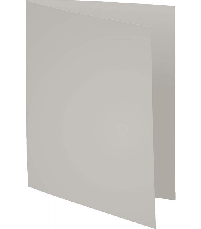 Chemise forever gris 24x32cm 220g R.410009E