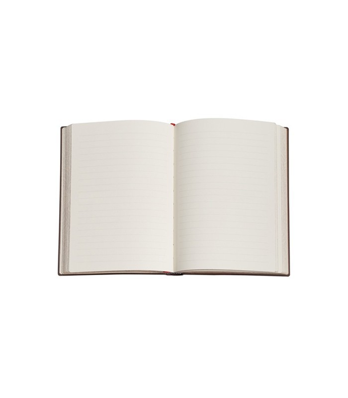 Carnet 90x140 couverture rigide ligné fruits viennois 176p R.PB1333-5