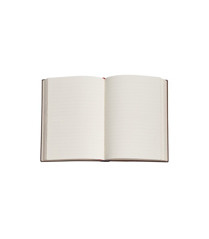 Carnet 95x140m couverture rigide ligné saule bleu 176p R.PB9897-3