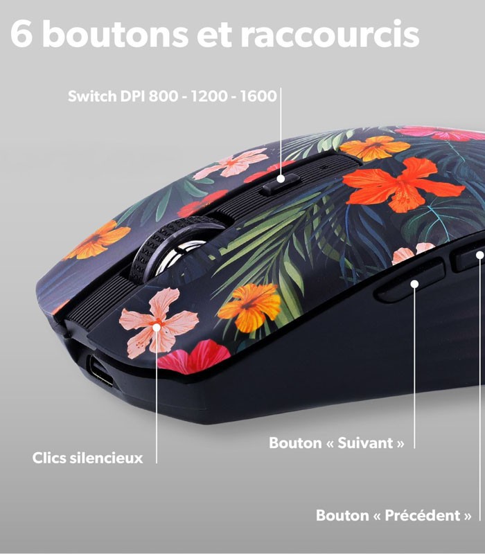 Souris sans fil bluetooth rechargeable TNB AMAZONIA EXCLUSIV 