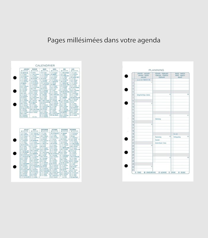 Agenda organiseur exatime 17light Floralie fuch/gris R.740117E/119E