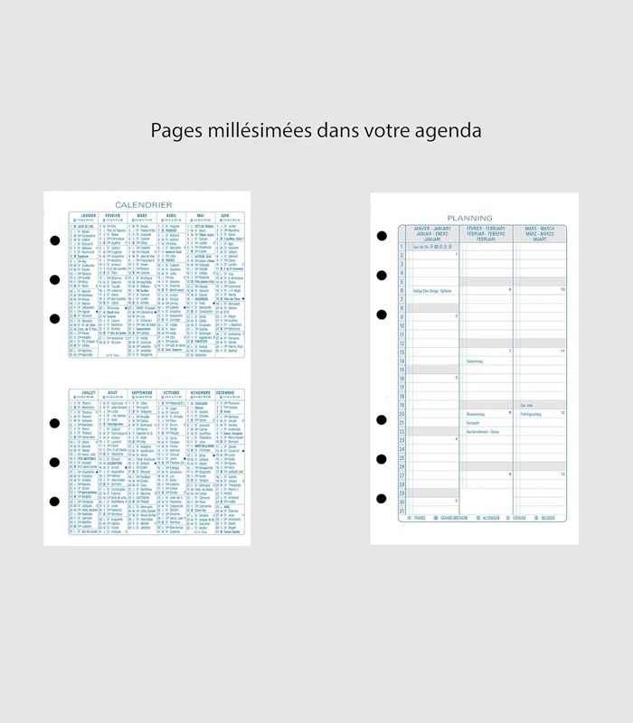 Agenda organiseur exatime 14 Baby Croco rose R.42357E