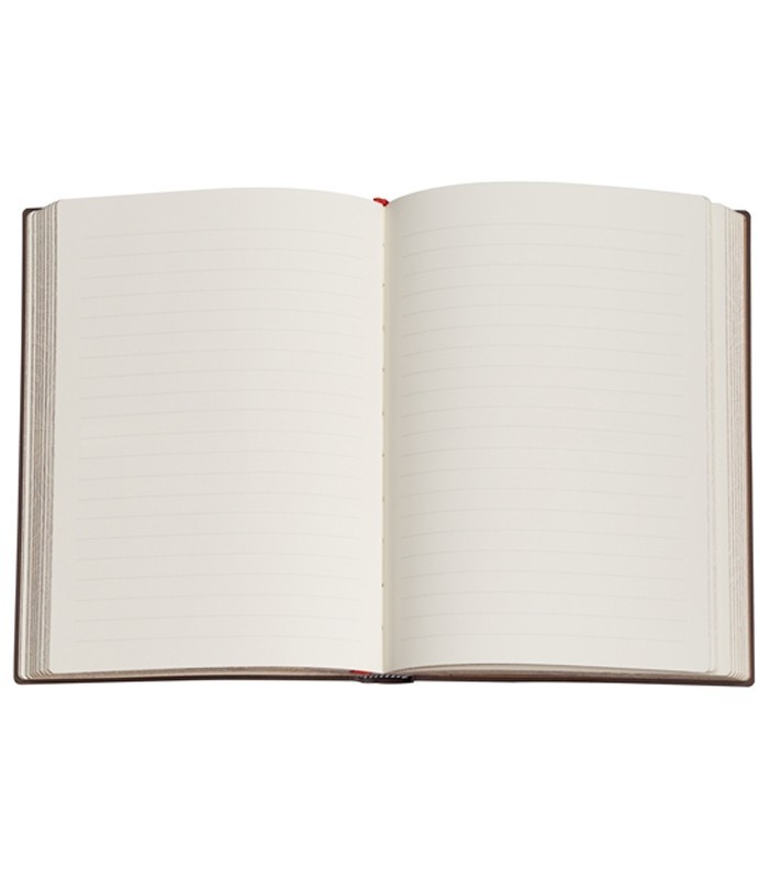 Carnet 125x230mm couverture rigide ligné picaresque 128p R.PB9869-0