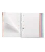 Cahier A4 notebook 5x5 120 pages emotions rose R.MR46074XXX