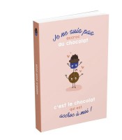 Agenda scolaire 12x17cm 320 pages Icone R.100902788