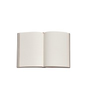 Carnet 95x140m couverture rigide ligné saule bleu 176p R.PB9897-3