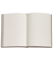 Carnet 125x230mm couverture rigide ligné picaresque 128p R.PB9869-0