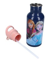 Gourde aluminium 500ml Reine des neiges 2 take a sip R.785-00417