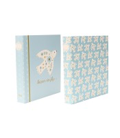 Classeur A4 4 anneaux b'log birds R.123135