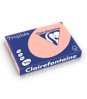 Papier copieur A3 160g pêche paquet de 250 feuilles R.1141PC