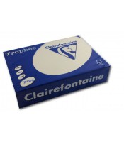 Couverture A4 210g ivoire R.2204C