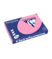 Papier copieur A3 160g eglantine paquet de 250 feuilles R.1014PC