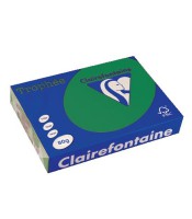 Papier copieur A4 80g vert sapin paquet de 500 feuilles R.1783C