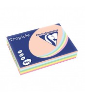Papier copieur A4 80g teintes assorties pastel paquet de 500f R.1703C