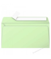 Enveloppe 110x220 faire-part vert paquet de 20 120g R.5475C