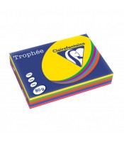 Papier copieur A4 80g teintes vives assorties paquet de 500f R.1704SC