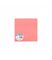 Carte 160x160 litchi paquet de 25  210g R.1135C