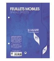 Feuillets mobiles seyès 17x22 100 feuilles 90g blanc R.751C