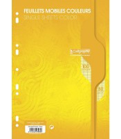 Feuillets mobiles seyès A4 - 100 feuilles 80g jaune R.7964C