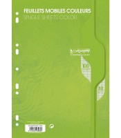 Feuillets mobiles seyès A4 - 100 feuilles 80g vert R.7965C