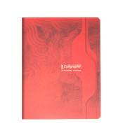 Cahier 17x22 seyès 96 pages piqûre 70g R.7103C
