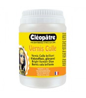 Vernis colle brillant 250g R.LCC1-250