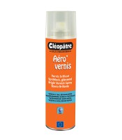 Vernis aérosol 250ml brillant R.AVB250