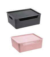 Boîte de rangement 4.22L  280x180x110mm assortis R.8534530