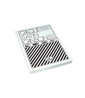 Calque satin 50x65 90g R.11117